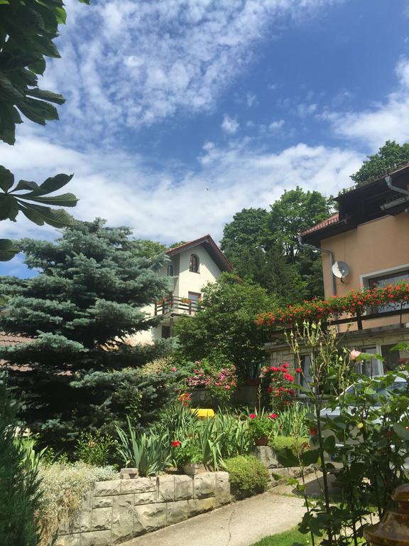 Noclegi Pod Kasztanem Duszniki Zdrój Exterior foto