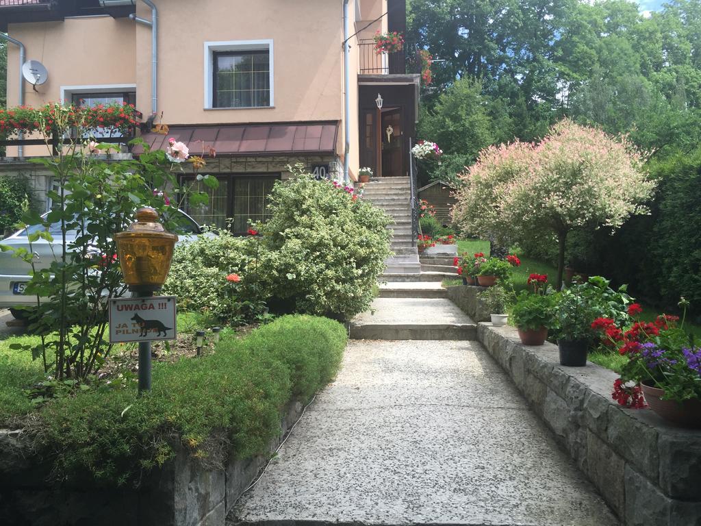 Noclegi Pod Kasztanem Duszniki Zdrój Exterior foto