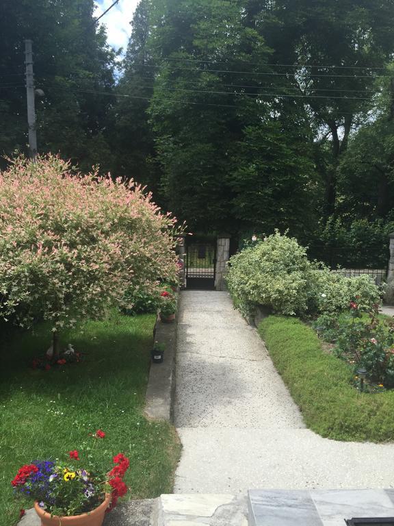 Noclegi Pod Kasztanem Duszniki Zdrój Exterior foto