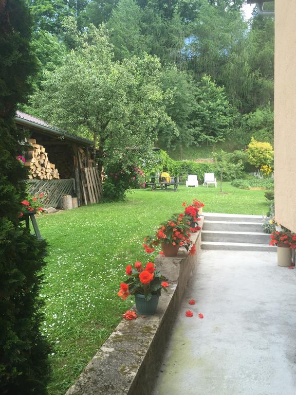 Noclegi Pod Kasztanem Duszniki Zdrój Exterior foto